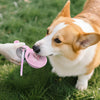 Tragbare Hunde-Trinkflasche