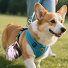 Tragbare Hunde-Trinkflasche